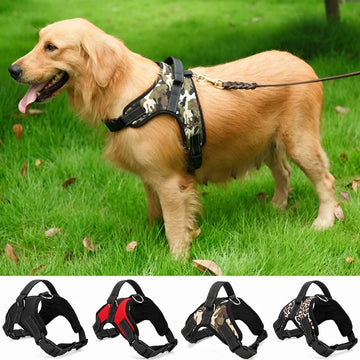 Adjustable Dog Pet Harness Collar